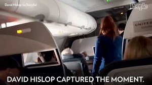 Flight Attendant Helps Loose Cat Find Its Owner During Flight