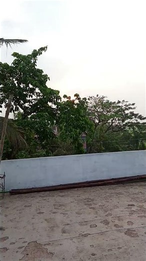 New nature video 😍❤️#joy #nature