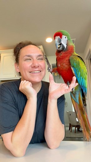 424K views · 29K reactions | This weekend we took Pyro to fly near...