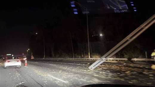 Watch: Crews remove tree from I-395 in Arlington