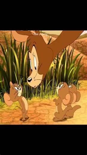Tom and Jerry Aura Edit: Tom Highlights & Fan Edit