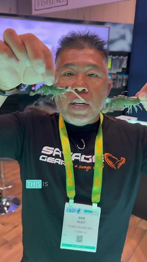 The all new Manic Shrimp V2 in 3 sink rate versions is a fish slayer. Debuting at this past ICAST, we look forward to seeing what these new baits will do! @scssam #savagegearamericas #manicshrimp #fishing | Savage Gear Americas