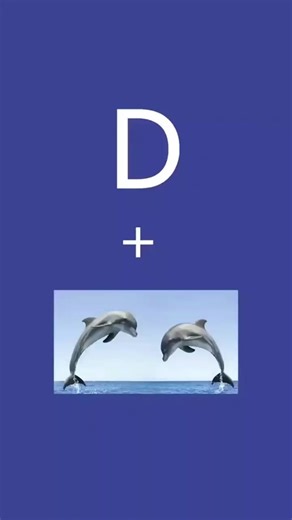 Creative Dolphin Logo Design Ideas