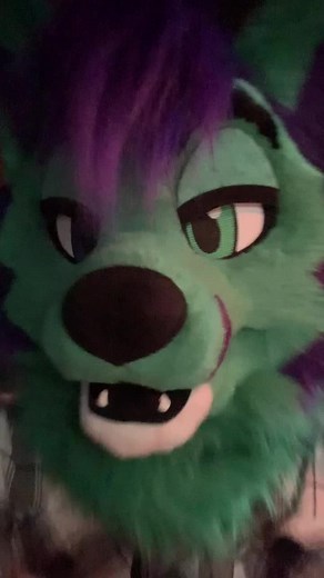 Exploring Fursuit Inflation in the Furry Community