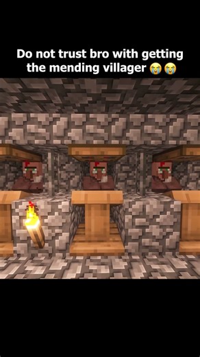 When You Ask Bro to Get a Mending Villager #minecraft #villager #funny #shorts