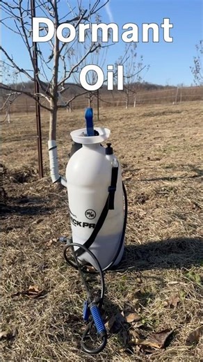 Spraying dormant oil in December. #starkbros #dormantoil #garden