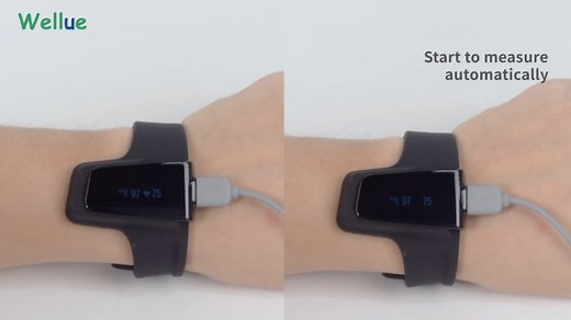 how to use Checkme O2