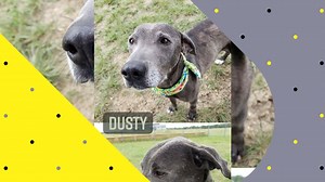 1.4K views · 72 reactions | What happens when you mix a life of...