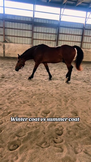 Anna McClelland on TikTok