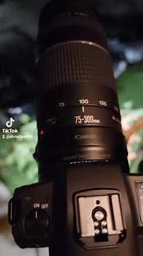 Recording Night Timelapse With Sony A6400 and Canon Eos R