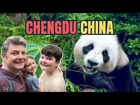 We visited the CHENGDU PANDA BASE the BEST place to see PANDAS in CHINA