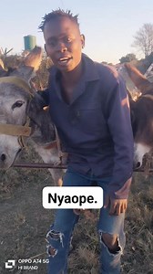 510K views · 9.6K reactions | Sello is Explaining why people smoke Nyaope.樂 #drug#drug #Nyaope#Nyaope #youth#youth #life#life #rehab#rehab #donkey#donkey #selfmade#selfmade #hustleisbrand#hustleisbrand #people #smoke #sello | PS Mmatlwa | Facebook