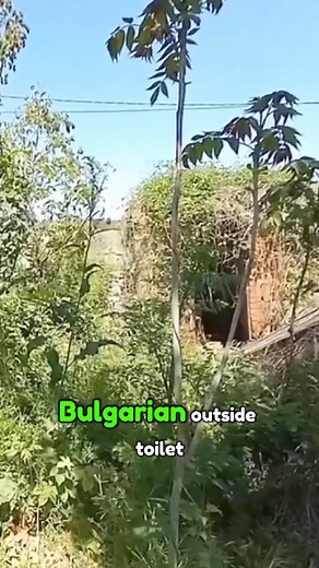 110K views · 3.1K reactions | Building a chicken coop on a shoestring budget  We built a chicken coop with next to no money here in bulgaria, using mostly materials that were already here. #chickens #coop #eggs #diy #farming #farm #farmlife #chicks #bulgaria | From Bournemouth to Bulgaria | Facebook