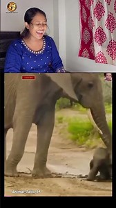 Ye dekho dharti mata ko naa pasina ah raha he | #DogShorts #FunnyDog #TalkingDog #HindiShorts #DogMe