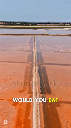 Crops Grown with Salt Water?! 😳