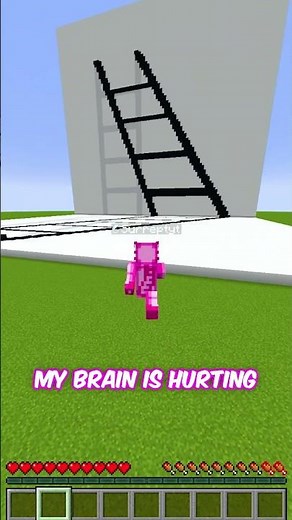 The Craziest Optical Illusions in Minecraft