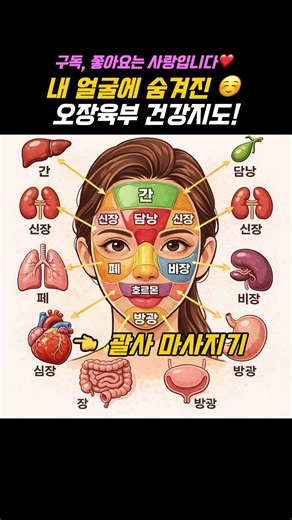 내 얼굴에 숨겨진 오장육부 건강지도! ✋
