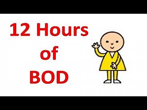 12 hours of Bod