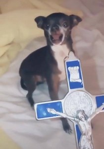 181K views · 6.7K reactions | Random stuff by random people on Reels | Facebook