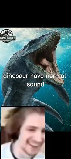 diplodocus real sound #dinosaurs #dinosaur #dinosaurus #diplodocus #mosasaurus #trex #fyp #fypシ #pliissfyp