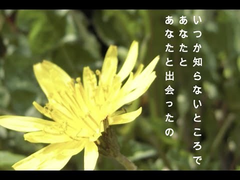 キャンティのうた 「アンデルセン物語(1971)〜ED曲〜」