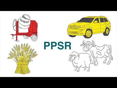 PPSR - PowerPoint Presentation