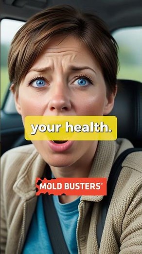 Professional Car Mold Removal: Get Rid of Car Mold!