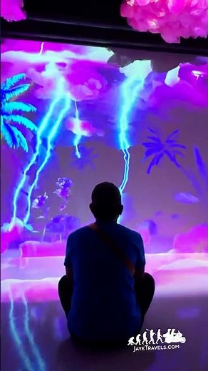 Digital Art Museum! It has 12 interactive exhibits that mix art and technology