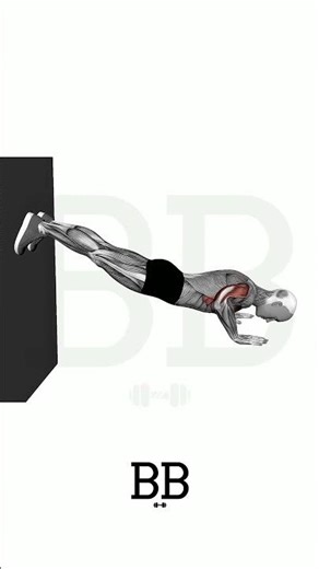 Feet on Wall Decline Pushup (CHEST): The Ultimate Upper Pec Builder! 🧗‍♂️💪