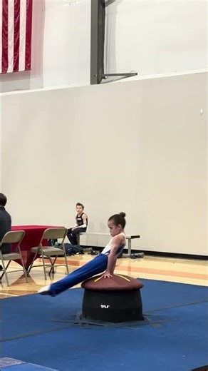 Men’s level five Illinois state championships pommel 9.4