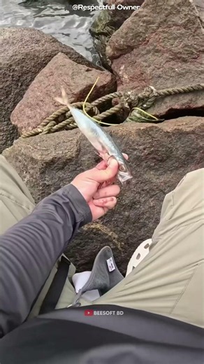 The Smart Fishing Trick 😲