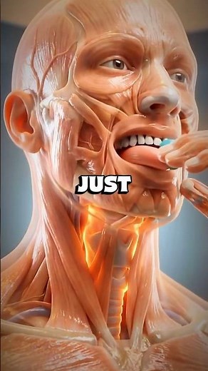 What Happens If You Swallow Gum 😱 Inside Your Body #HumanBody #HealthFacts #MedicalAnimation