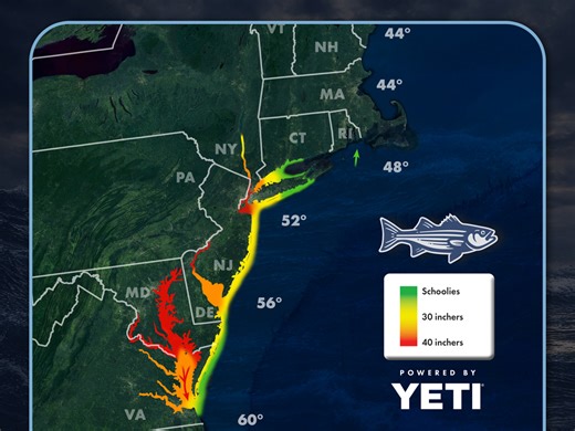 Striper Migration Map - April 17, 2026 - On The Water