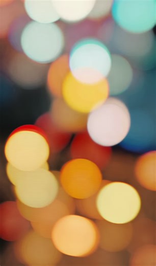 a new bombshell has entered forbidden planet Brighton… Studio Ghibli plush available in store now! - Lula🦝 #forbiddenplanetbrighton #studioghibli #theboyandtheheron