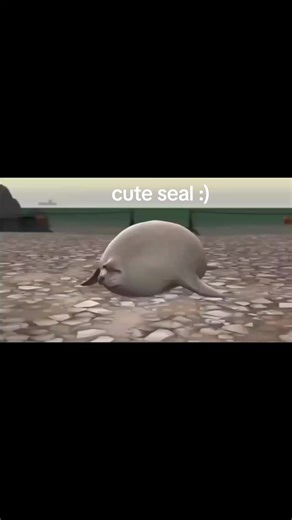 cute seal #tf2 #tf2seal