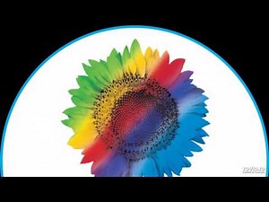 Wipro Telephonic round interview questions on SQL and PLSQL for Data Analyst position