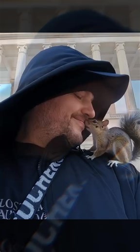 Filmy użytkownika 👑Бориску на Царство👑 (@pitbullpanzer) z muzyką оригинальный звук - Том харди