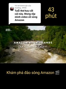 Khám Phá Sông Amazon: Nguyệt Mạch Của Nam Mỹ