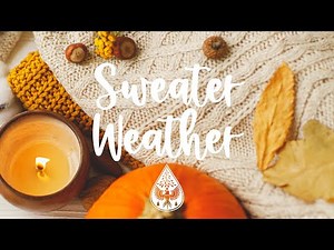 Sweater Weather 🧣🎃 - An Indie/Folk/Acoustic Playlist | Vol. 1