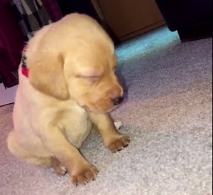 291K views · 1.4K shares | Monday motivation  | Majestic Casual | Facebook