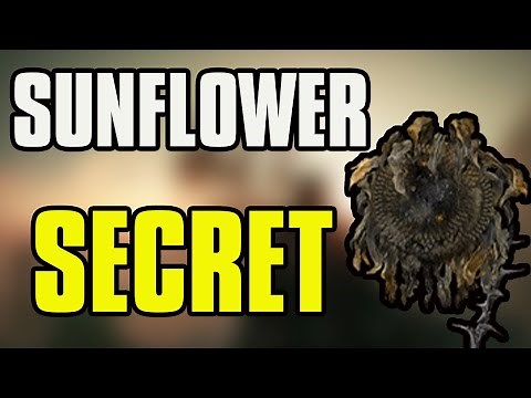 Elden Ring Shadow Sunflower Boss SECRET To An Easy Fight!
