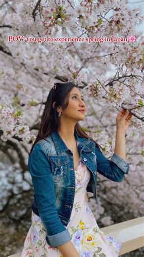 “Hanami Days 🌸 Peaceful Japan Spring” #japan #tokyo #sakura #sakurajapan