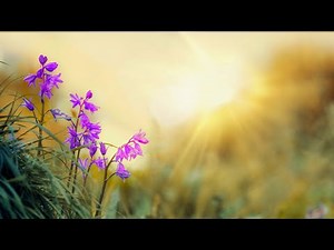 HAPPY PIANO MUSIC 🎹 No Copyright Music for Videos