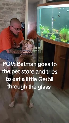 there's only one place we go to get our fish from@Pet Place Co #batman #batmangang #fish #tigerdog #HoustonTx