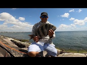 surfside jetty fishing Freeport, Texas