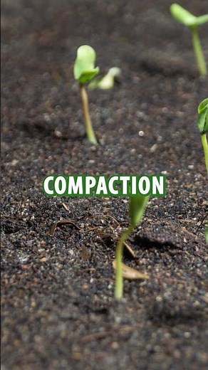 Benefits of Humic Acids in Soil