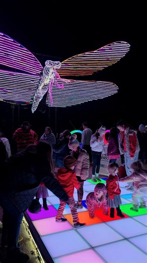 See OKC Zoo's Safari Lights holiday display up close in this walk-through