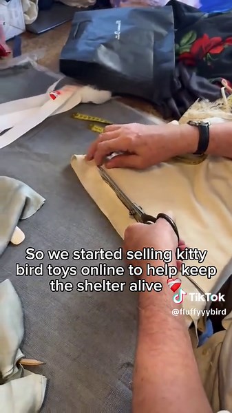 They are available in my profile 🥺 #cat #shelter #catshelter