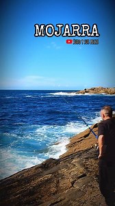 144 reactions · 6 comments | MOJARRAS SI… SARGOS NO!!!! #susoysuspeces #unsarguete | Jesus Hobby Cebos | Facebook