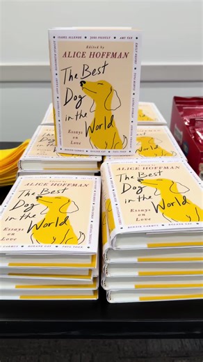 ICYMI: The Simon & Schuster offices celebrated Dog Day in honor of The Best Dog in the World: Essays on Love, edited by Alice Hoffman. 🐶 With contributions from Isabel Allende, @Chris Bohjalian, Bonnie Garmus, Roxane Gay, Emily Henry, Ann Leary, Tova Mirvis, Jodi Picoult, Elizabeth Strout, Amy Tan, Adriana Trigiani, Nick Trout, Paul Yoon, and Laura Zigman, #TheBestDogintheWorld features these fourteen celebrated authors as they share unforgettable tales of the dogs who left their pawprints on t